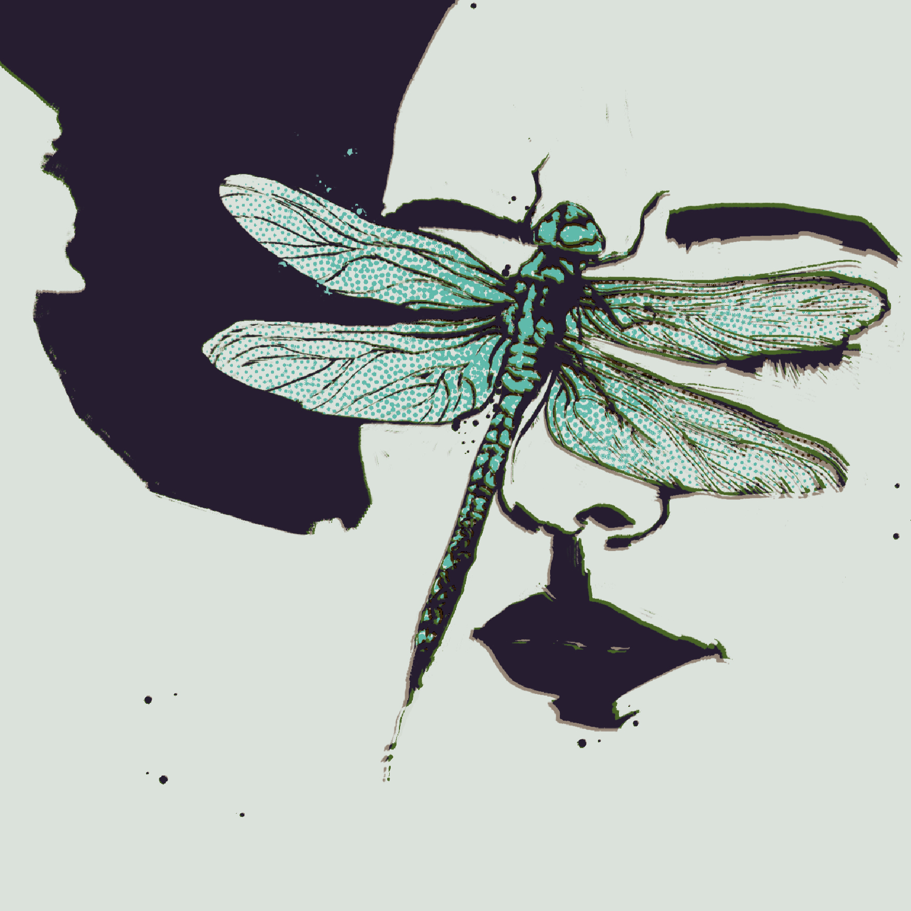 Nymph di Duo Dragonfly